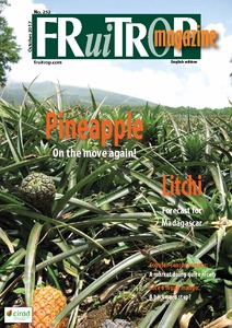 Magazine's thumb Magazine FruiTrop n°252 (mardi 07 novembre 2017)